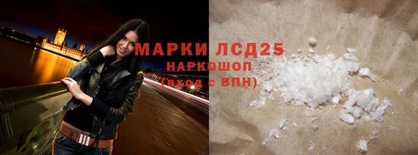 прущие грибы Верхний Тагил