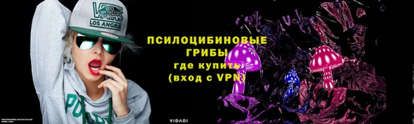 гашик Беломорск